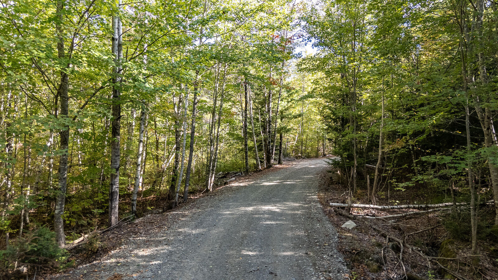 Property Photo: 00 Gravy Lane ME 04410