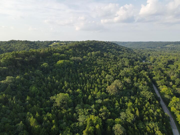 Property Photo:  57 +/- Acres Conley Road  KY 41063 