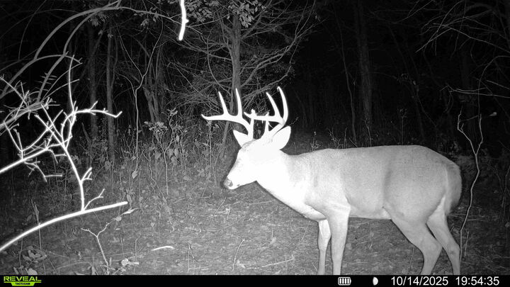 Property Photo: 57 +/- Acres Conley Road KY 41063