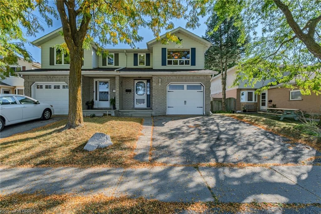 Property Photo:  19 Oak Avenue  ON N3L 3C6 