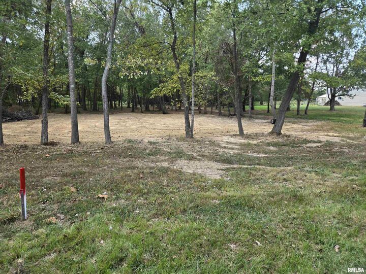 Property Photo: Lot 4 Norman Road IL 62959