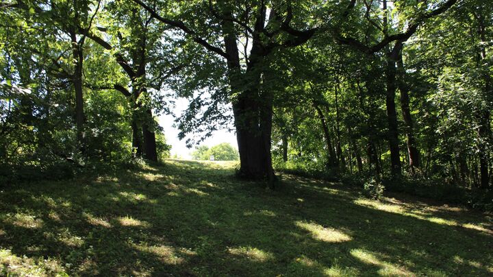 Property Photo: 18 Goldenrod Lane IL 61036