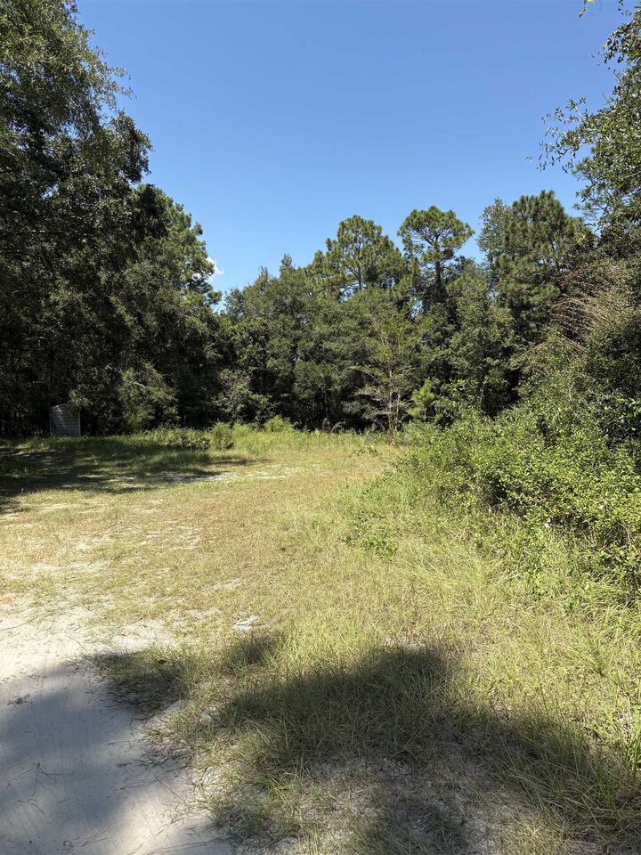 Property Photo:  Lot 10 Blue Waters Court  FL 32305 