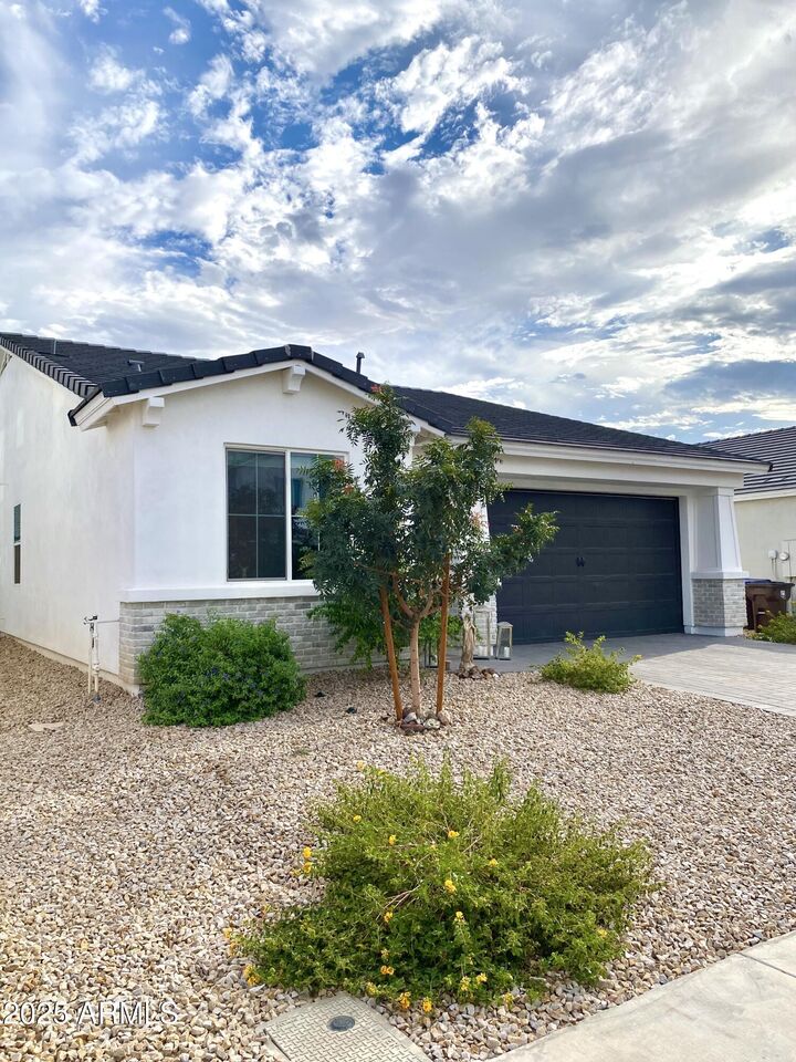 Property Photo:  251 E Mint Lane  AZ 85140 
