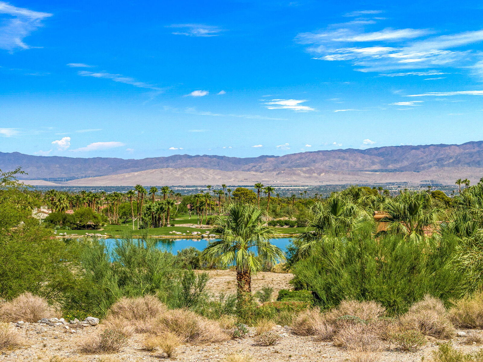 Property Photo: 50037 Canyon View Drive CA 92260