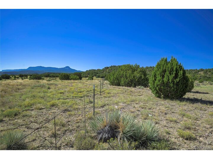 Property Photo:  37250 Kunzite Rd  CO 81082 