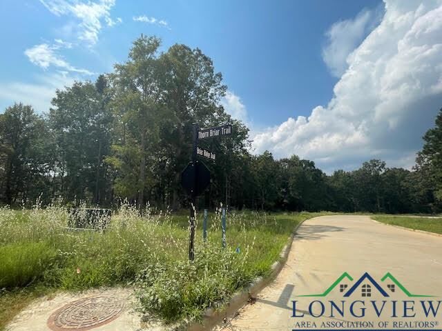 Property Photo: Tbd Briar Ridge Trail Lot 1, Blk 3 TX 75602