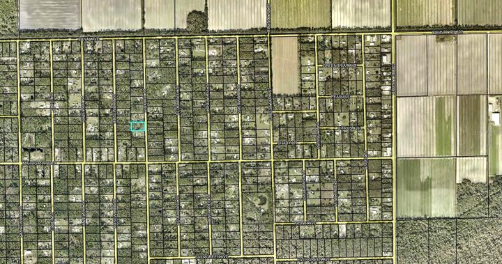 Property Photo:  1396 Hickory Street  FL 32110 