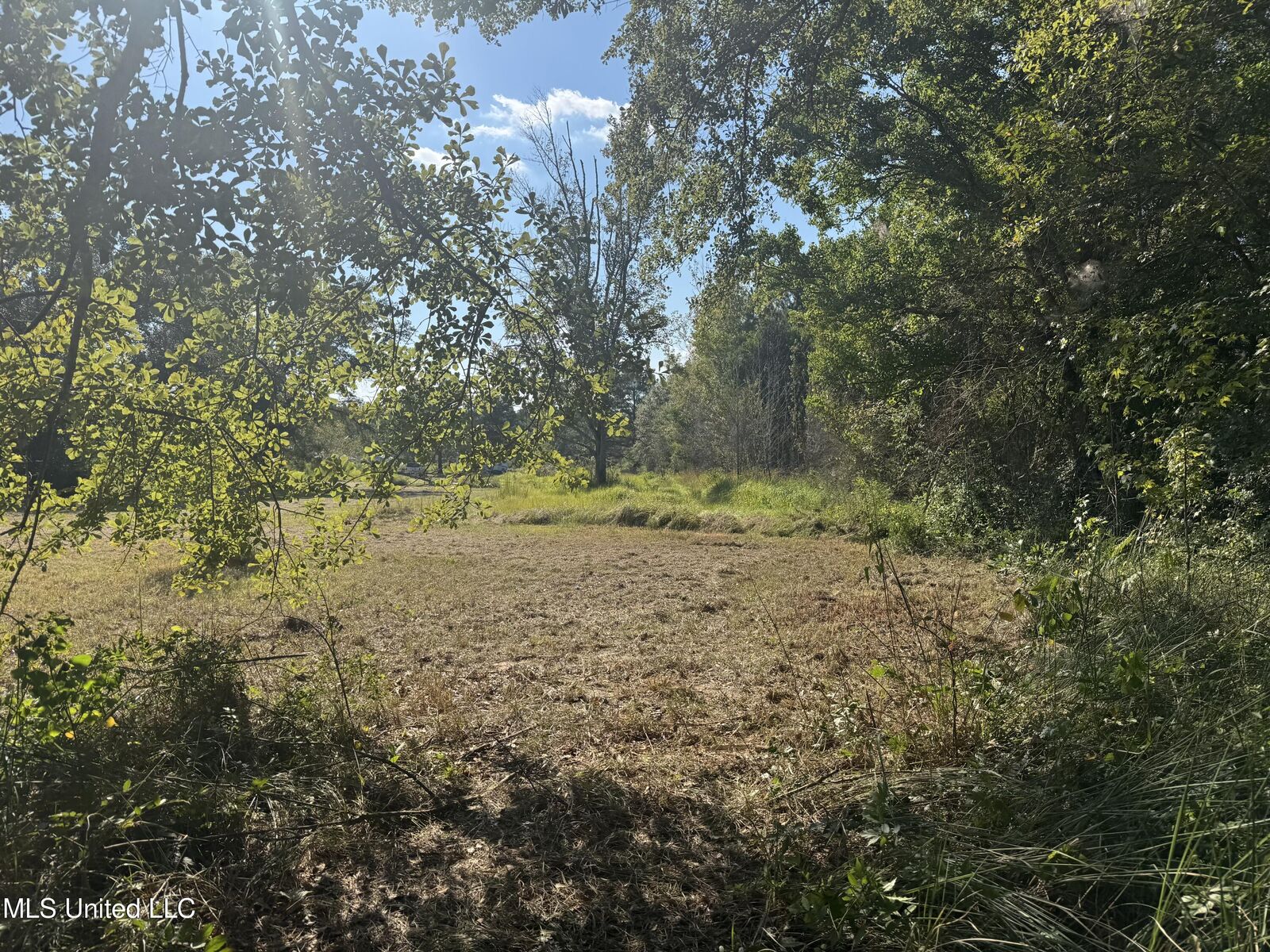 Property Photo:  1233 Tannertown Road  MS 39452 