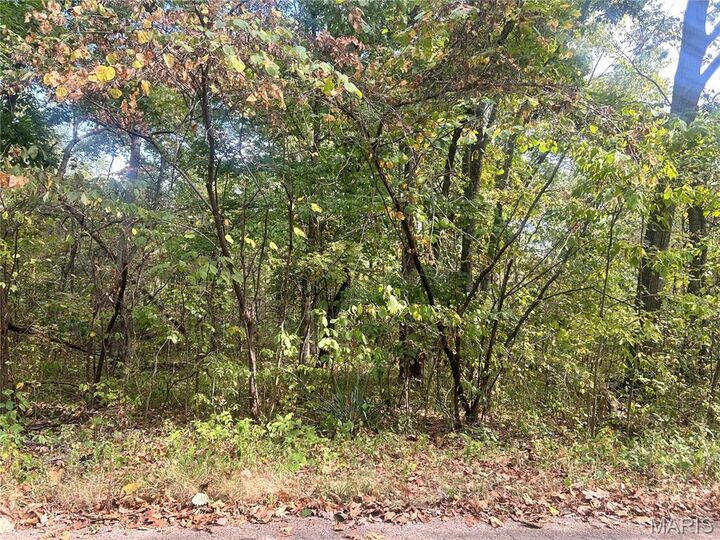 Property Photo:  0 Bell St.  MO 63664 