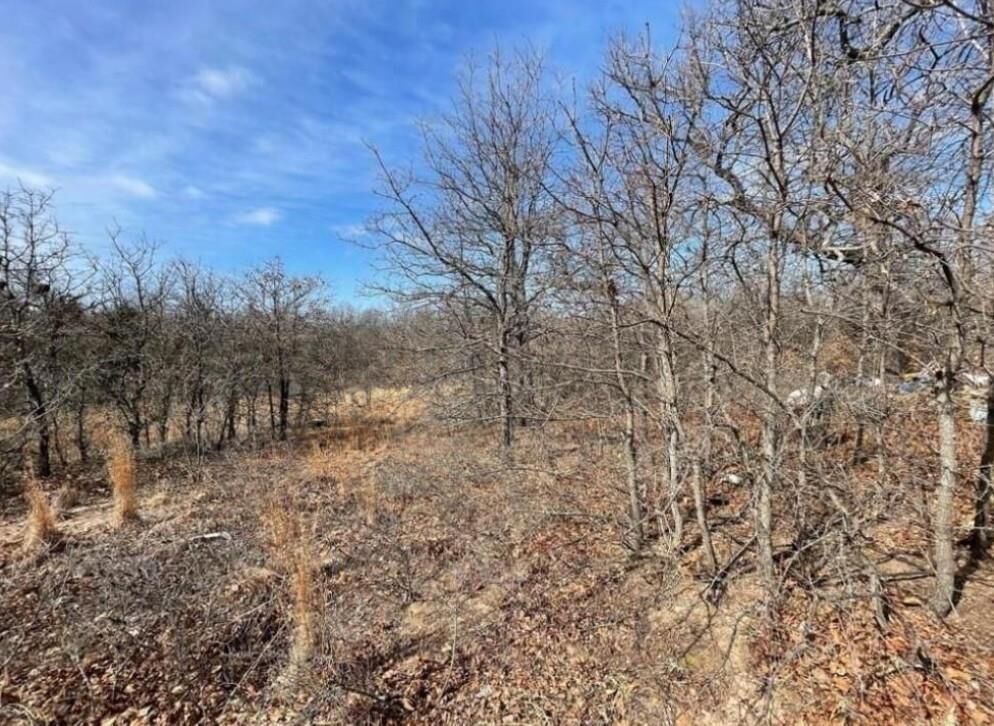 Property Photo:  Lot 9 Toad Road  OK 73045 