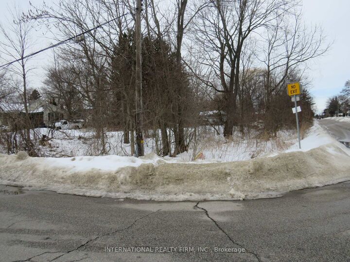 Property Photo:  98 Euclid Avenue  ON M6J 2J9 
