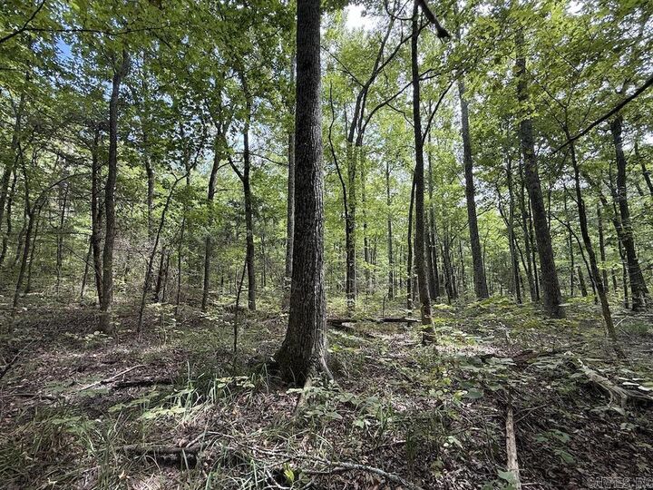 Property Photo:  Tract 3/4 Terrapin Road  AR 72601 