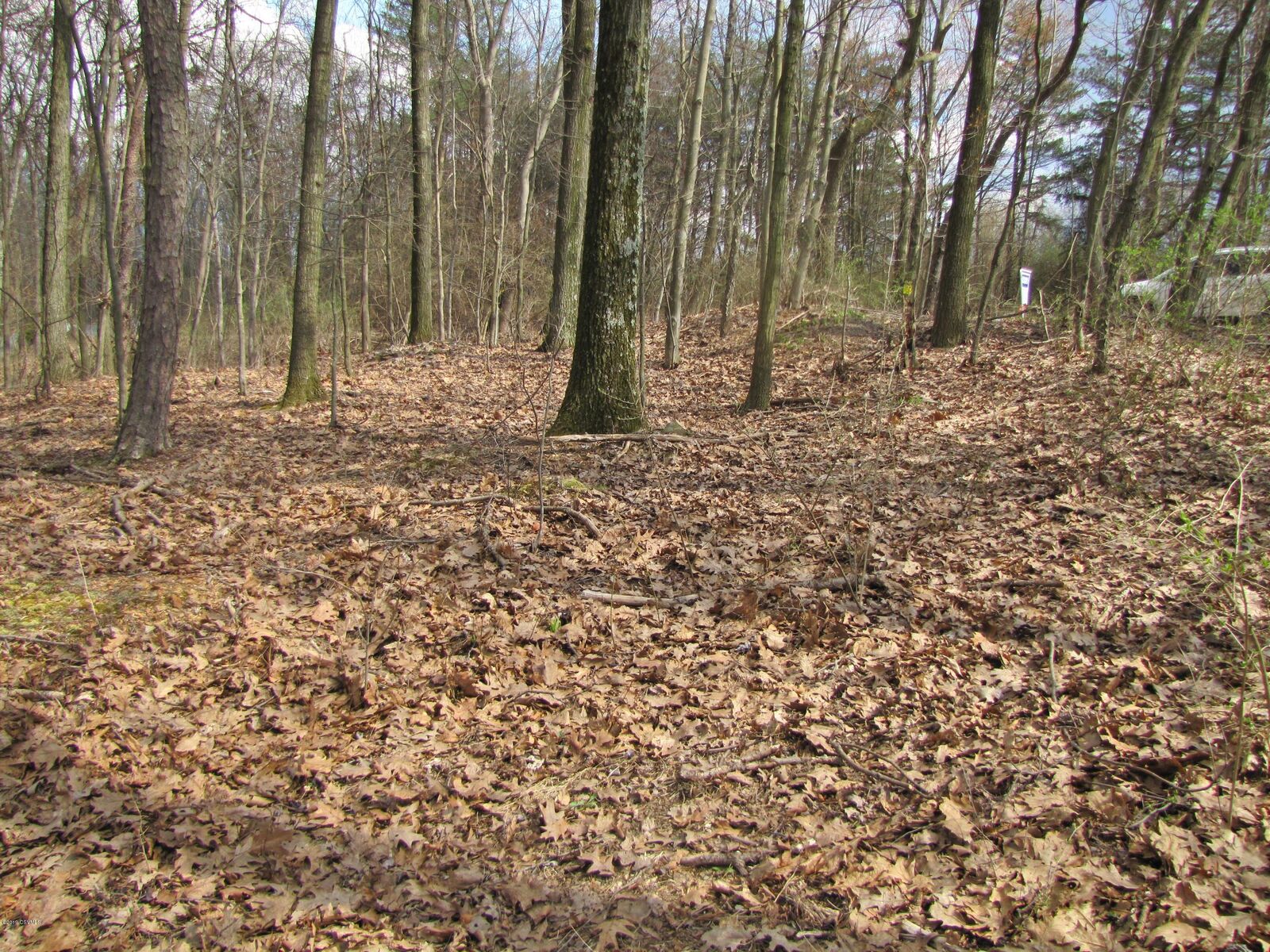 Property Photo:  Bald Top Road  PA 17821 