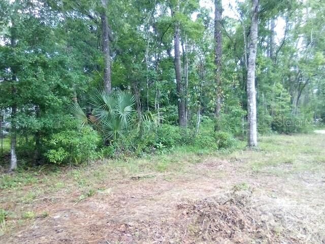 Property Photo: 0 Salinas Avenue New Port Richey, Fl 34654 Avenue FL 34654