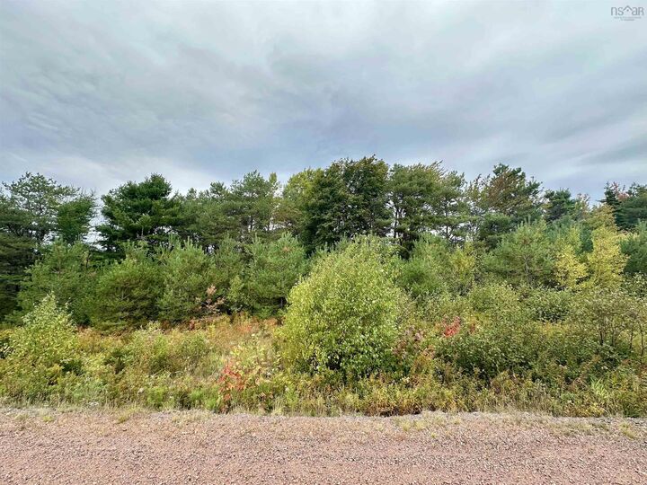 Property Photo:  Lot Scotsburn Road  NS B0K 1H0 