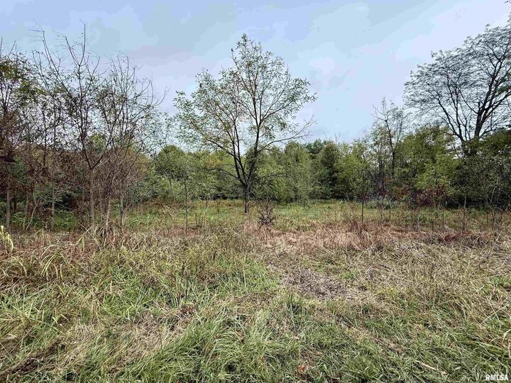 Property Photo:  Tbd Brock Lane  IL 62966 