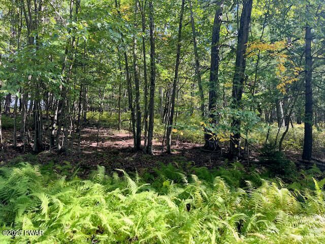 Property Photo: Lot 427 Squirrel Road PA 18328