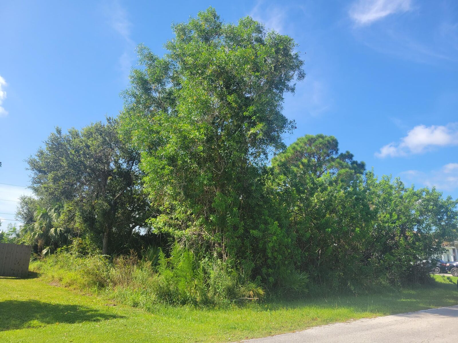 Property Photo:  474 SW Kaabe Avenue  FL 34953 
