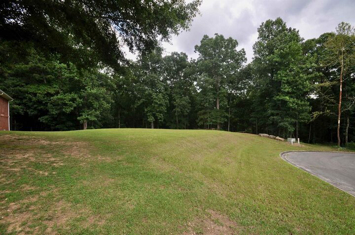 0 Ryan Creek Rd  Cullman AL 35055 - CULLMAN photo