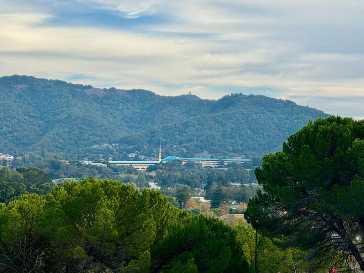 100 Thorndale Drive 125  San Rafael CA 94903 photo