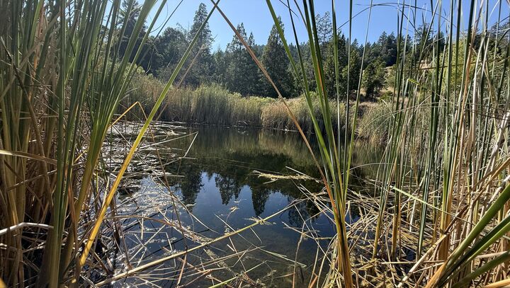 Property Photo:  7415 Salmon Creek Road  CA 95542 