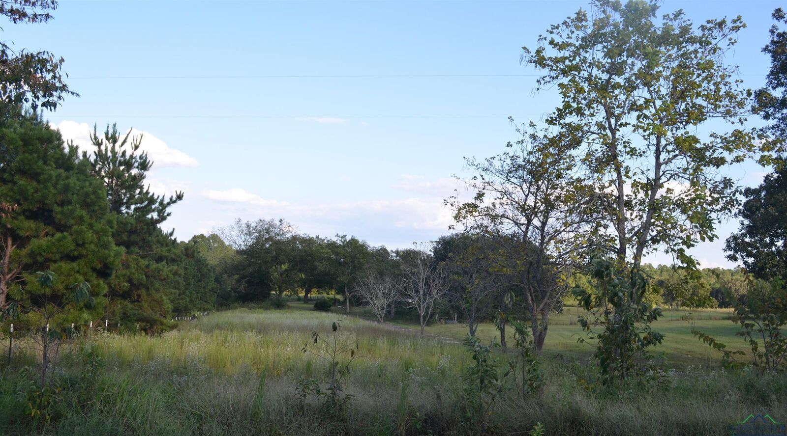 Property Photo: 6539 S County Road 401 TX 75652
