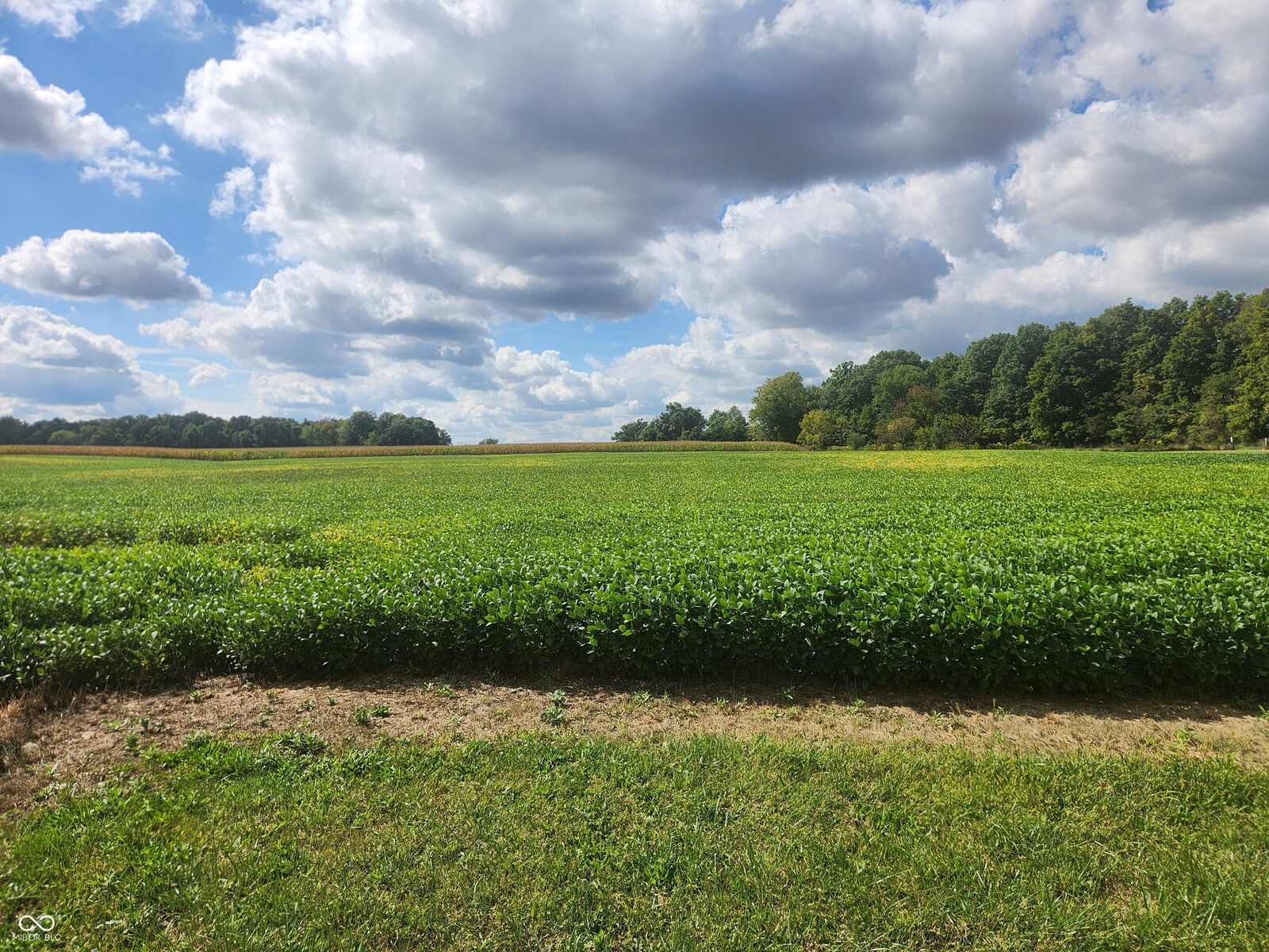 Property Photo:  01 S 100 W  IN 46131 