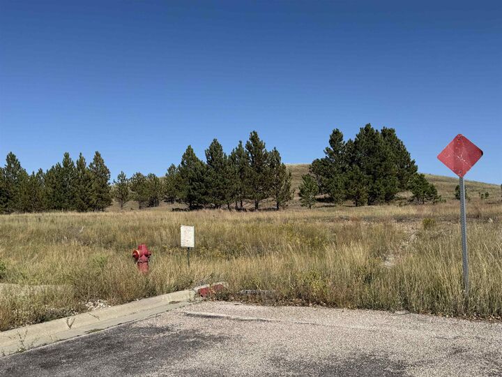 Property Photo: Lot 17 Hanover Drive SD 57701
