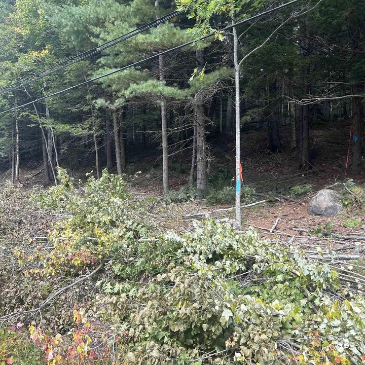 Property Photo:  Lot 25-3 Conquerall Mills Road  NS B4V 7A3 