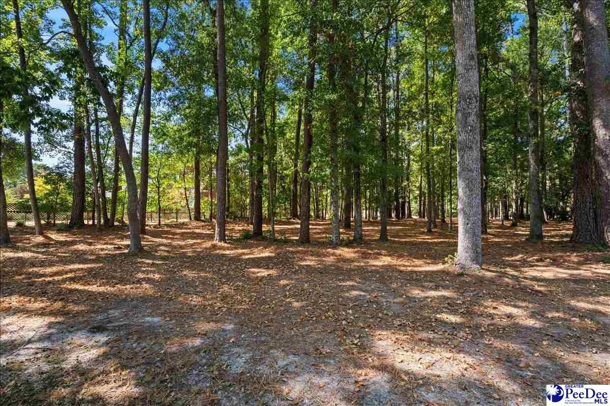 Property Photo:  Tbd Cypress Bend Road  SC 29506 