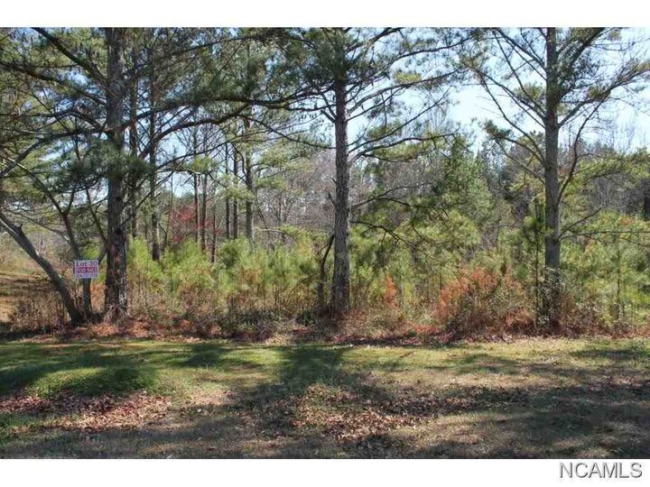Property Photo: Lot 71 Montcrest AL 35057 - CULLMAN