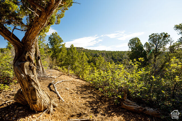 Property Photo: 245 Slide Canyon Rd 245 UT 84741