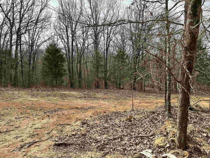 Lot 5 Raby Road  Harrisburg AR 72432 photo