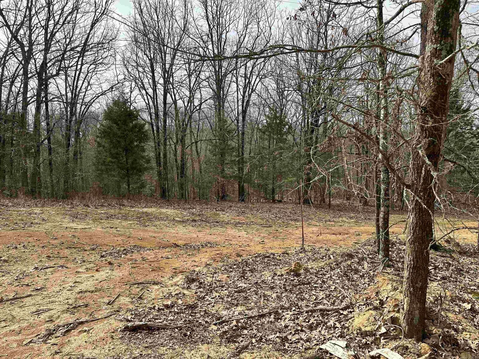 Property Photo: Lot 5 Raby Road AR 72432
