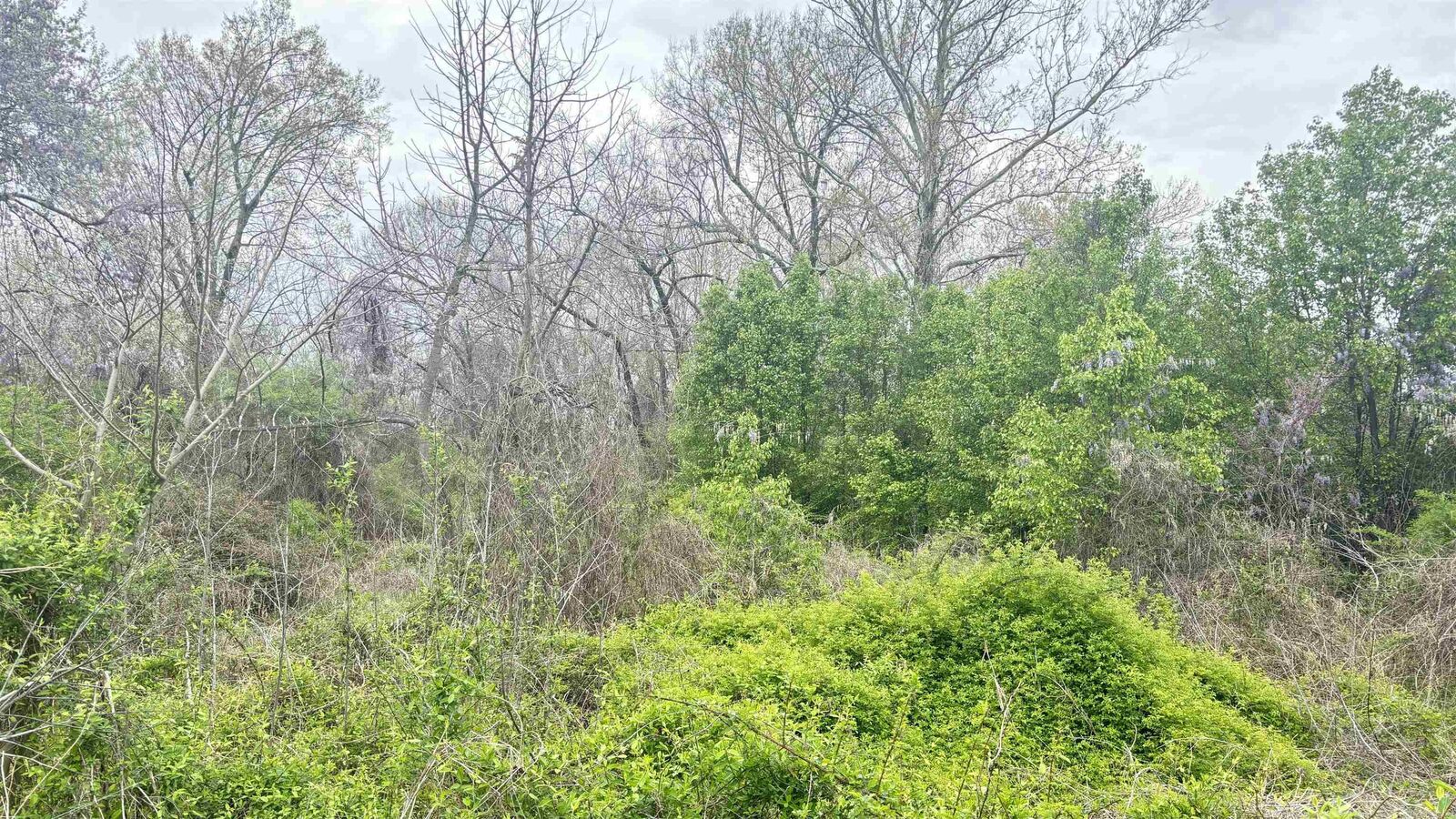 Property Photo:  Tbd E 33rd Street  AR 72205 