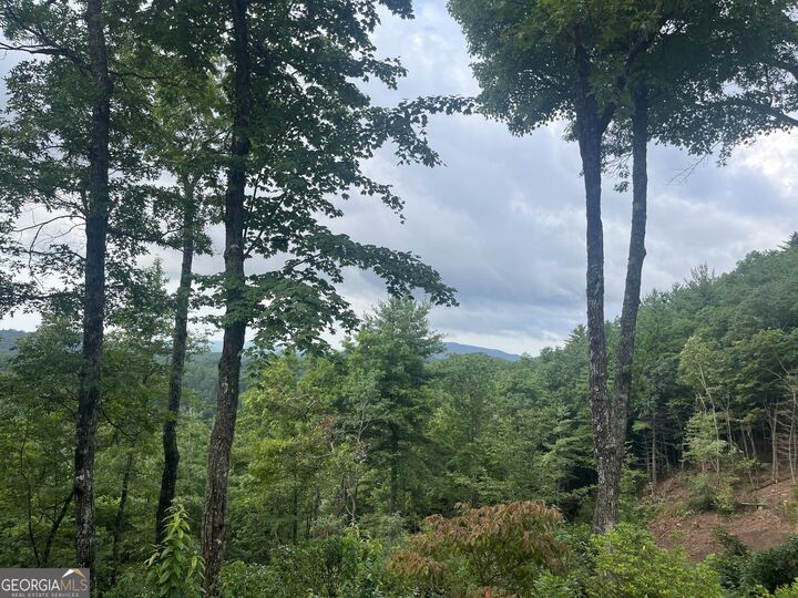 Property Photo:  Lot 40 Anderson Drive  GA 30525 
