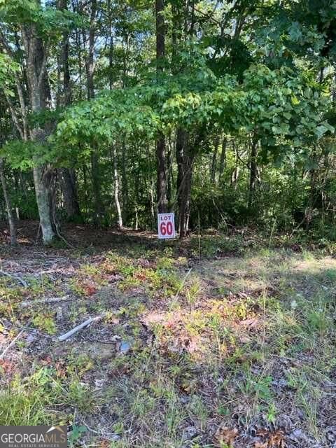 Property Photo: Lt 60 Honeysuckle Way GA 30540