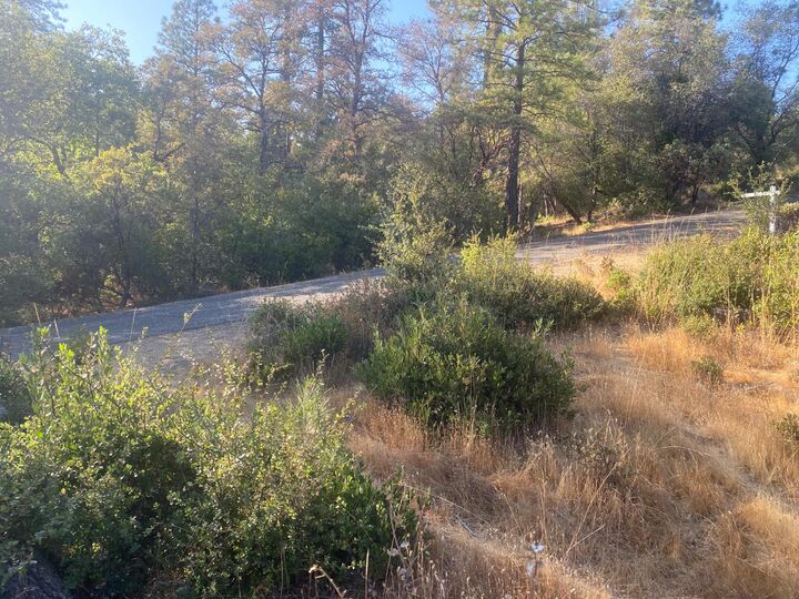 Property Photo:  13911 Ingersoll Drive  CA 95935 