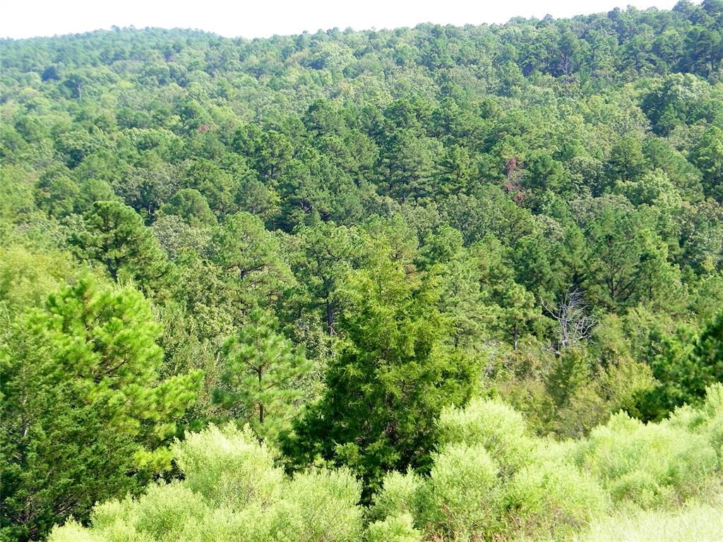 Property Photo: Highway 82 OK 74563