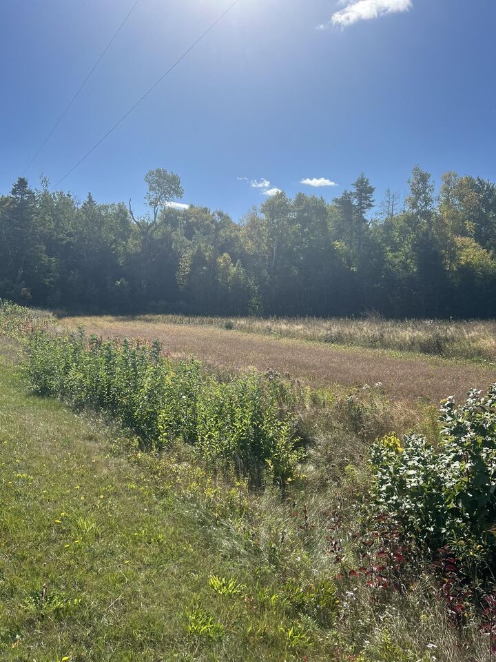 Property Photo:  Lot 1479 North Royalty Road  PE C0A 1L0 