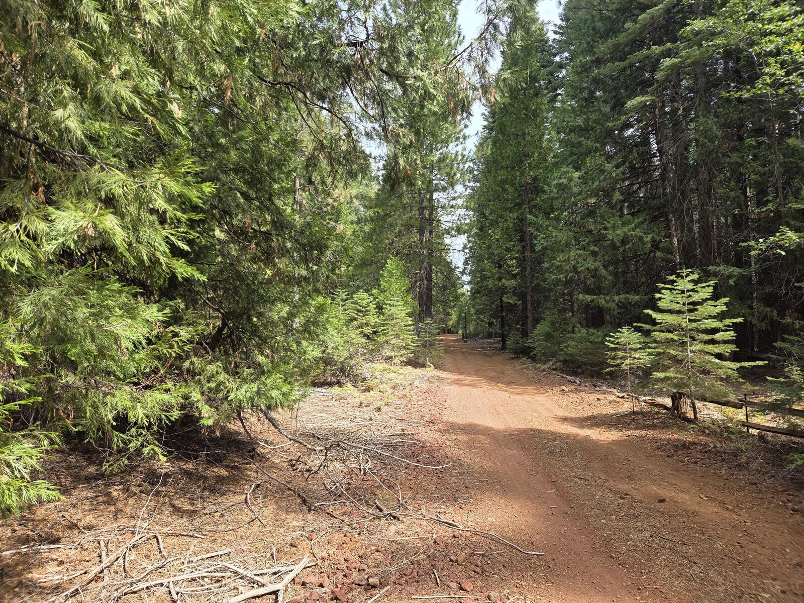 Property Photo:  Lot 28&Amp29 Emerald Way  CA 96088 