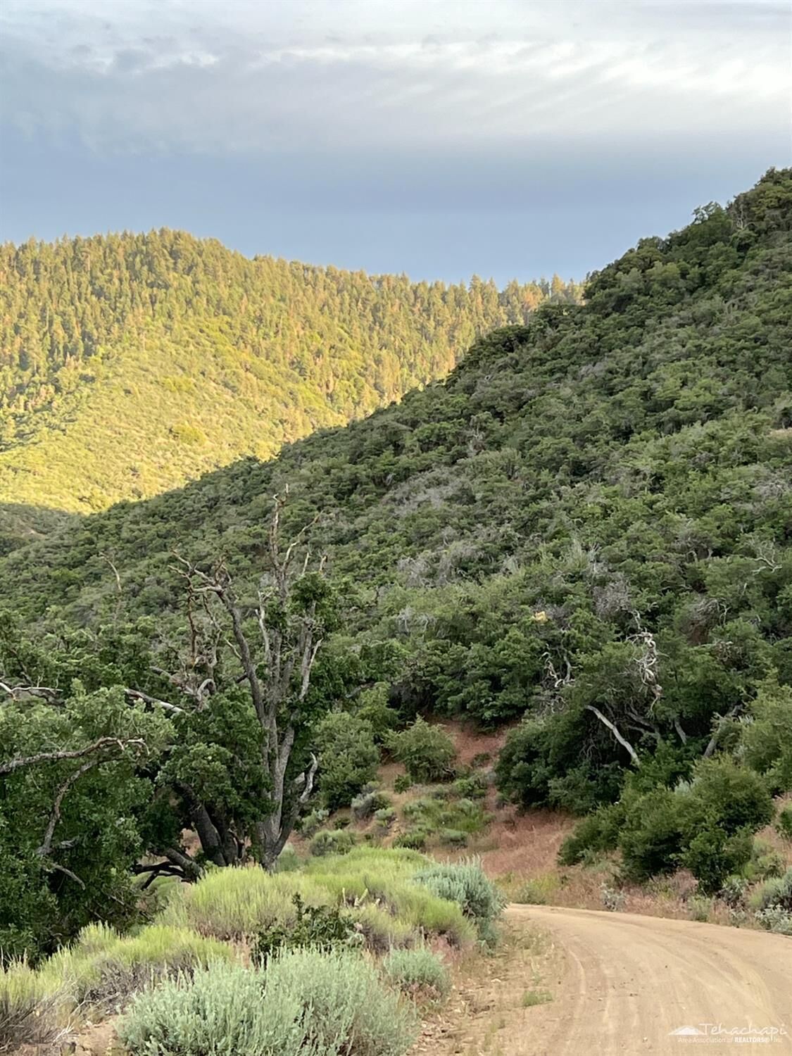 Property Photo:  17401 St Moritz Drive  CA 93561 