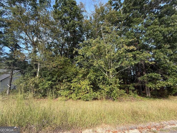 Property Photo:  0 Live Oak Lane Lot 3  GA 30629