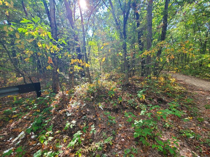 Property Photo: 113th MI 49010