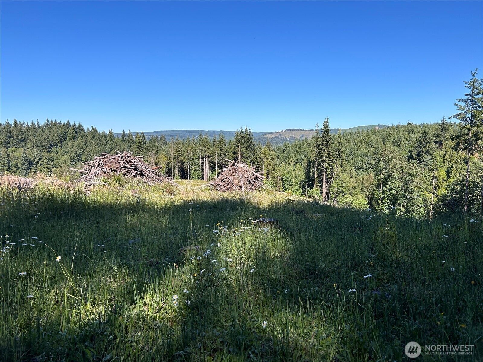 Property Photo:  125  Talkeetna Heights Place  WA 98626 