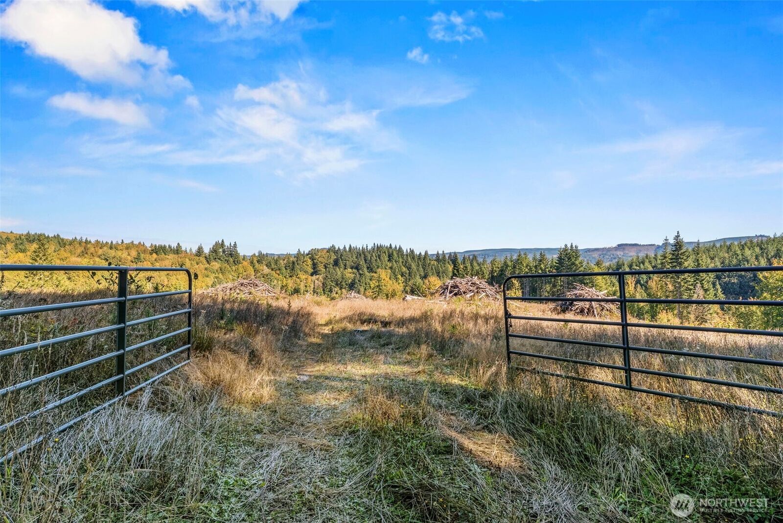Property Photo: 125 Talkeetna Heights Place WA 98626