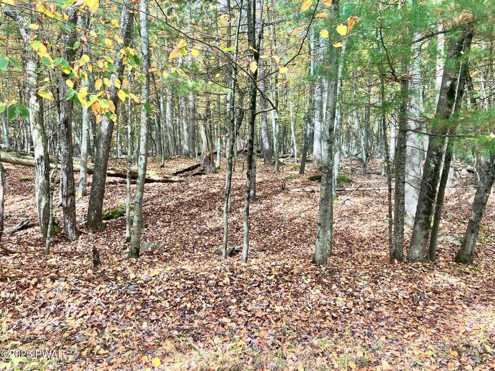 Property Photo: West Shore Drive PA 18337