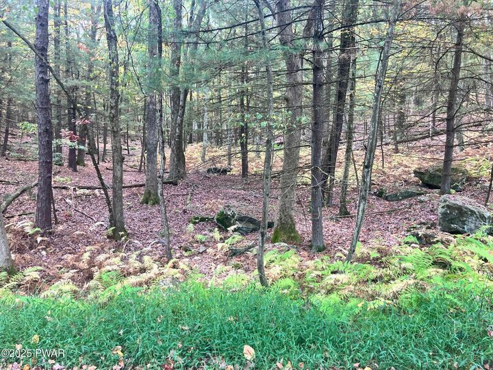 Property Photo: West Shore Drive PA 18337