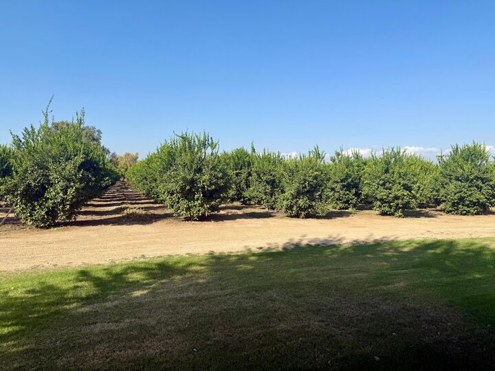 Property Photo:  15434 Ave 330  CA 93235